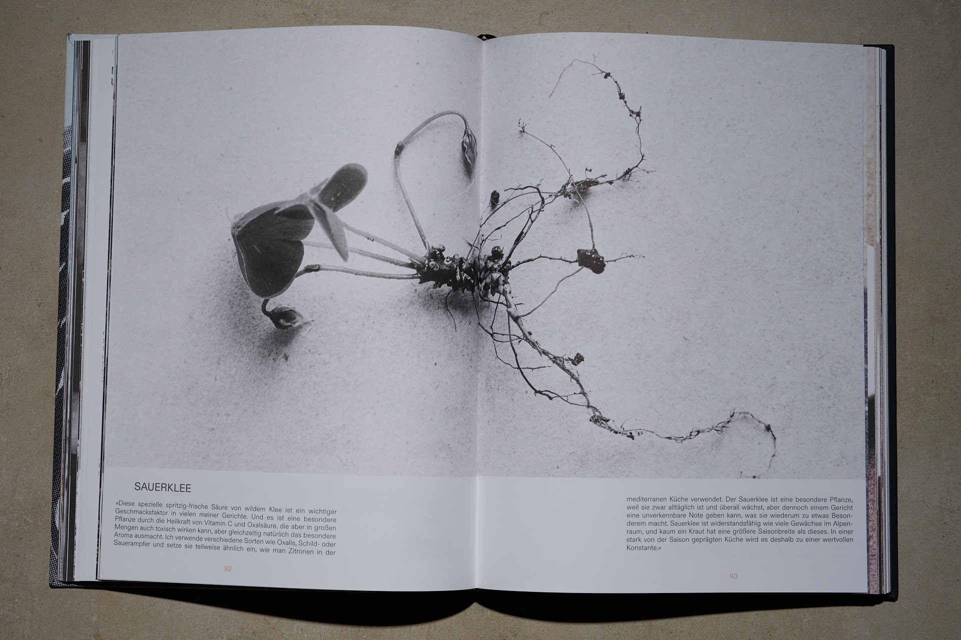 lukaslienhard_food_fotograf_zuerich_sven_wassmer_kochbuch-12