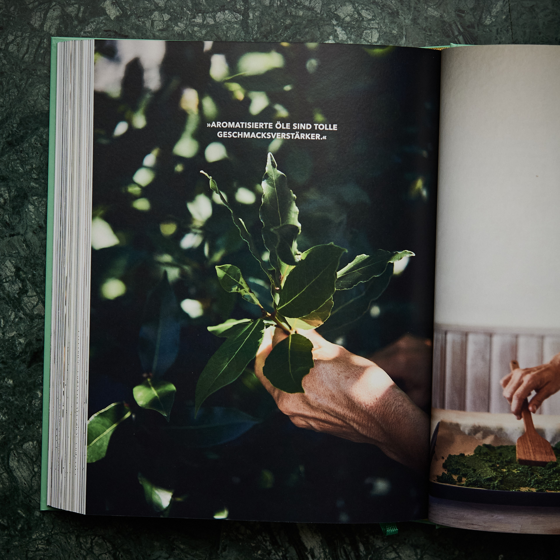 lukaslienhard_food_fotograf_zuerich_tanja_grandits_vegetarisch_kochbuch-19